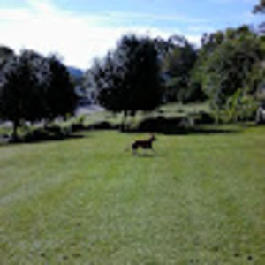 Meet your Posher, Richard